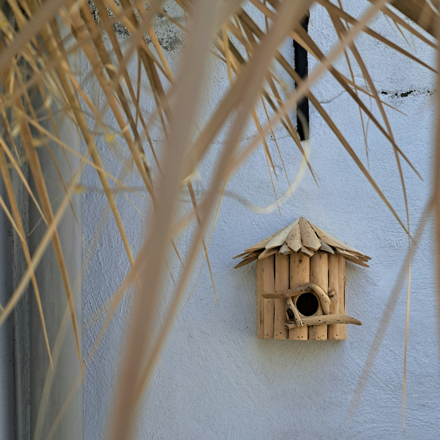 Vogelhuisje Mus drijfhout